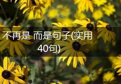 不再是 而是句子(实用40句)
