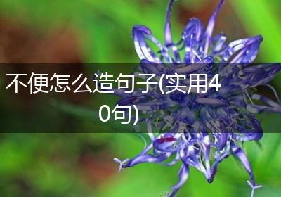 不便怎么造句子(实用40句)