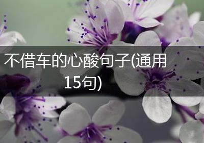 不借车的心酸句子(通用15句)