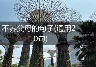 不养父母的句子(通用20句)