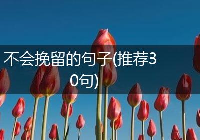 不会挽留的句子(推荐30句)