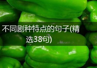 不同剧种特点的句子(精选38句)