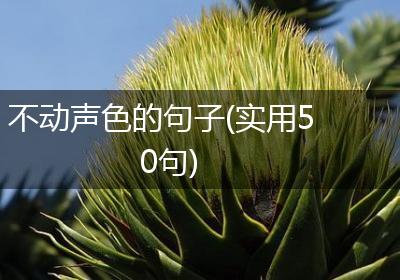 不动声色的句子(实用50句)