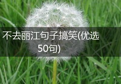 不去丽江句子搞笑(优选50句)