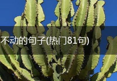 不动的句子(热门81句)