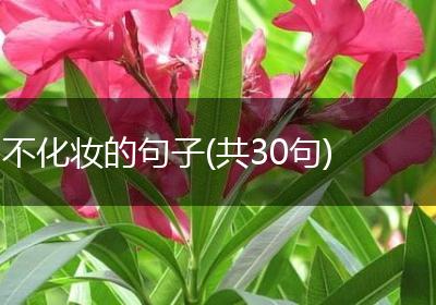 不化妆的句子(共30句)