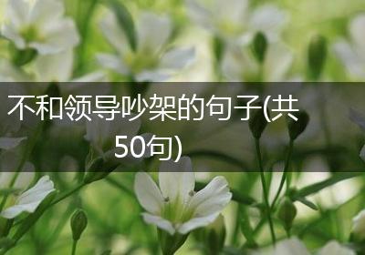 不和领导吵架的句子(共50句)
