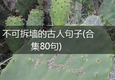 不可拆墙的古人句子(合集80句)