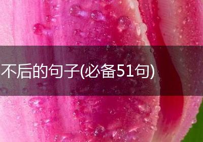不后的句子(必备51句)