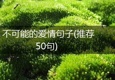 不可能的爱情句子(推荐50句)