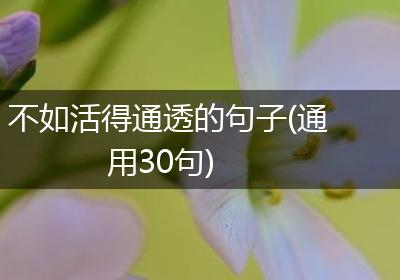 不如活得通透的句子(通用30句)