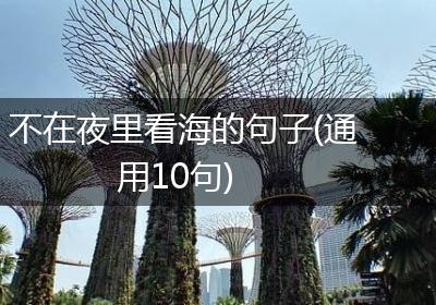 不在夜里看海的句子(通用10句)