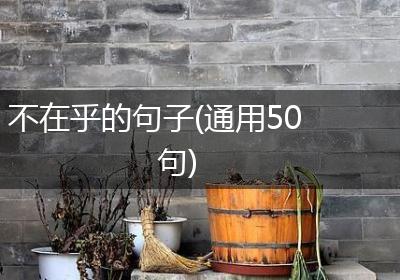 不在乎的句子(通用50句)