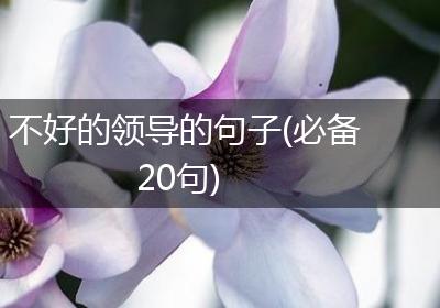 不好的领导的句子(必备20句)