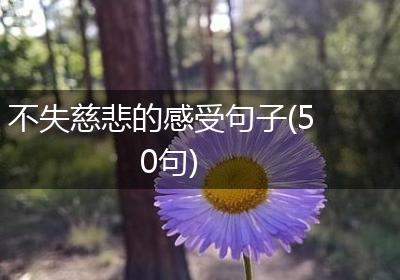 不失慈悲的感受句子(50句)