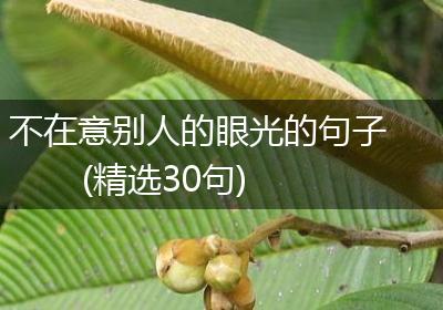 不在意别人的眼光的句子(精选30句)