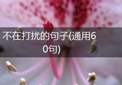 不在打扰的句子(通用60句)