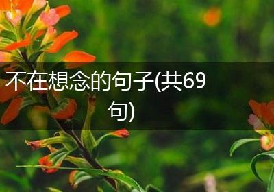 不在想念的句子(共69句)