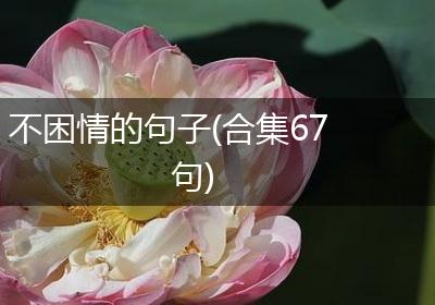 不困情的句子(合集67句)