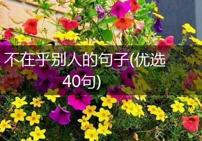 不在乎别人的句子(优选40句)