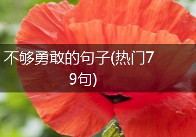 不够勇敢的句子(热门79句)
