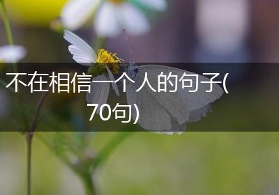 不在相信一个人的句子(70句)