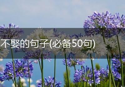 不娶的句子(必备50句)