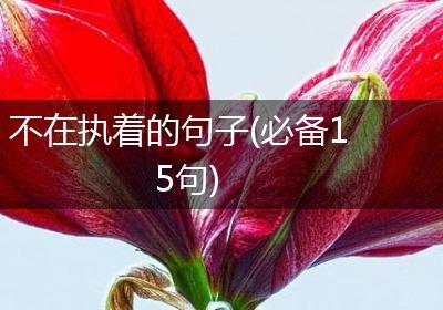 不在执着的句子(必备15句)