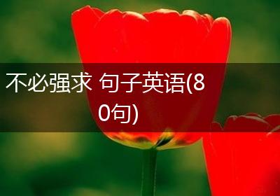不必强求 句子英语(80句)