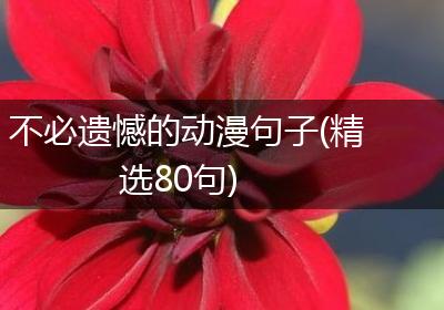 不必遗憾的动漫句子(精选80句)