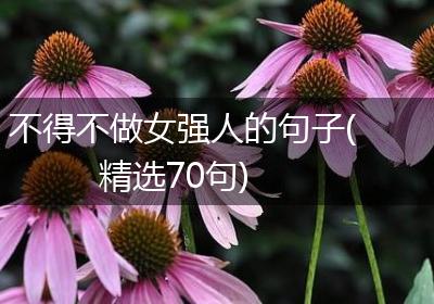 不得不做女强人的句子(精选70句)