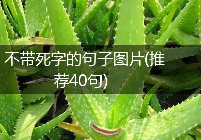 不带死字的句子图片(推荐40句)