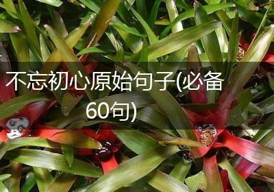 不忘初心原始句子(必备60句)
