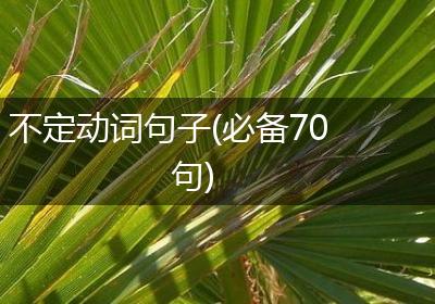 不定动词句子(必备70句)