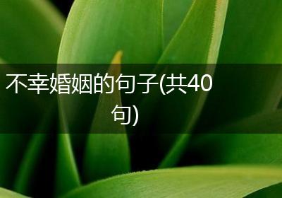 不幸婚姻的句子(共40句)