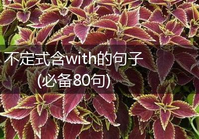 不定式含with的句子(必备80句)