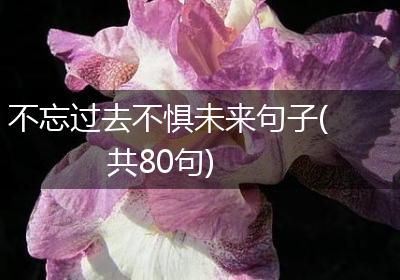 不忘过去不惧未来句子(共80句)