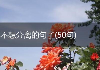不想分离的句子(50句)
