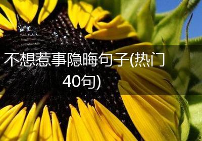 不想惹事隐晦句子(热门40句)