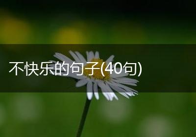 不快乐的句子(40句)