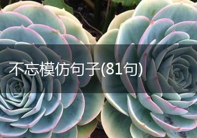 不忘模仿句子(81句)