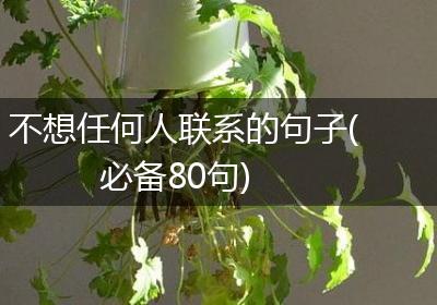 不想任何人联系的句子(必备80句)