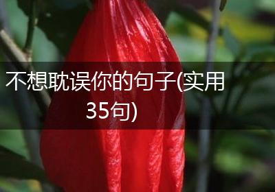 不想耽误你的句子(实用35句)