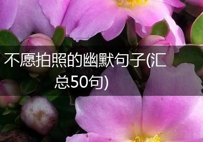 不愿拍照的幽默句子(汇总50句)
