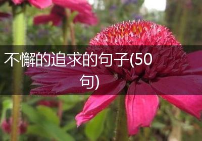 不懈的追求的句子(50句)