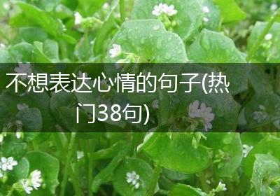 不想表达心情的句子(热门38句)