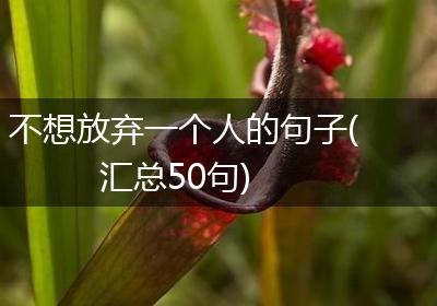 不想放弃一个人的句子(汇总50句)