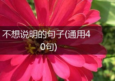 不想说明的句子(通用40句)