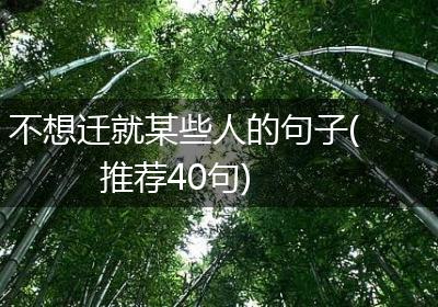 不想迁就某些人的句子(推荐40句)