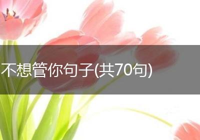 不想管你句子(共70句)